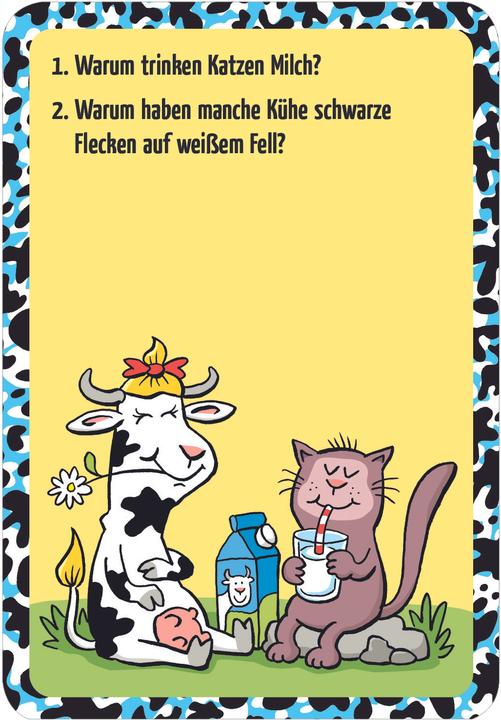 Actual product image Magni 30255 Cool slapping laughs, 50 cards with funny joke questions for children aged 6 and over, Jokes-S (German)