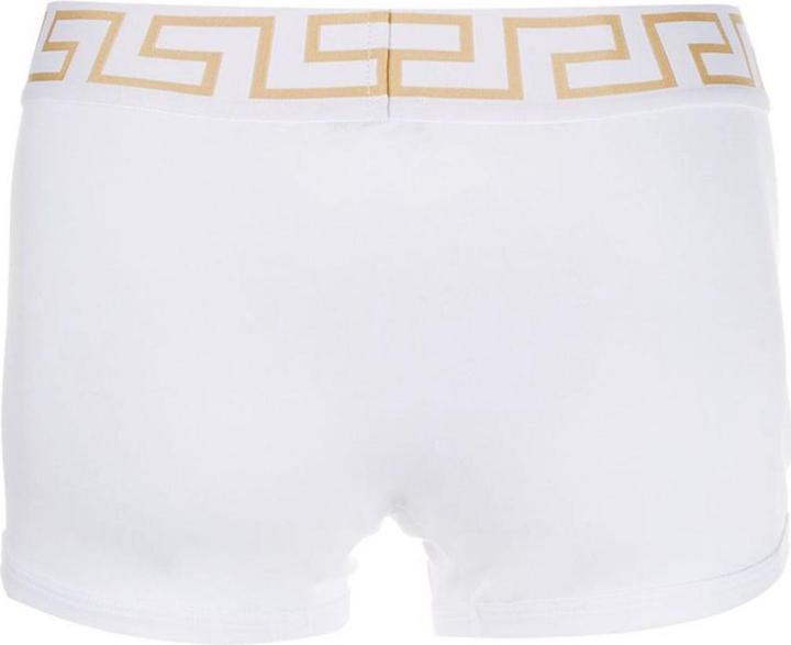 Actual product image Versace Boxer Shorts Casual Figure TOPEKA Boxer Shorts (XL, Single pack)