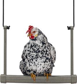 Produktbild Beeztees Futterstelle Hühner Schaukel, Grau