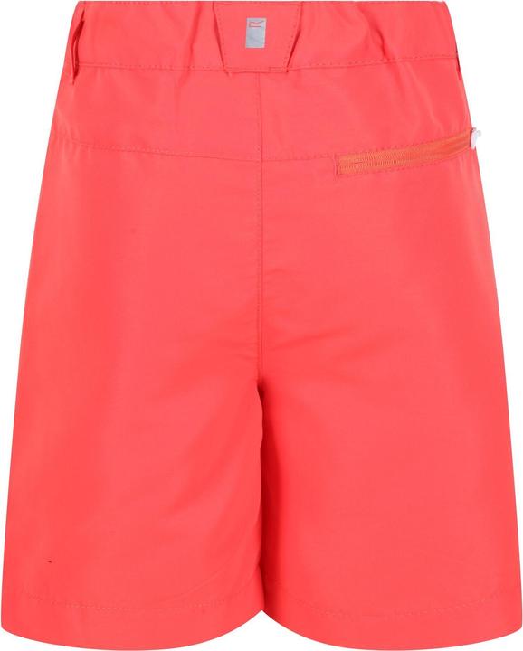 Actual product image Regatta Sorcer II Shorts (128)