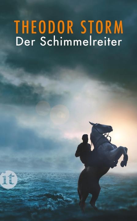 Image du produit Der Schimmelreiter (Allemand, Theodor Storm, 2011)