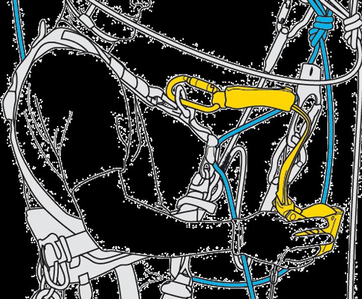 Produktbild Petzl Asap Lock
