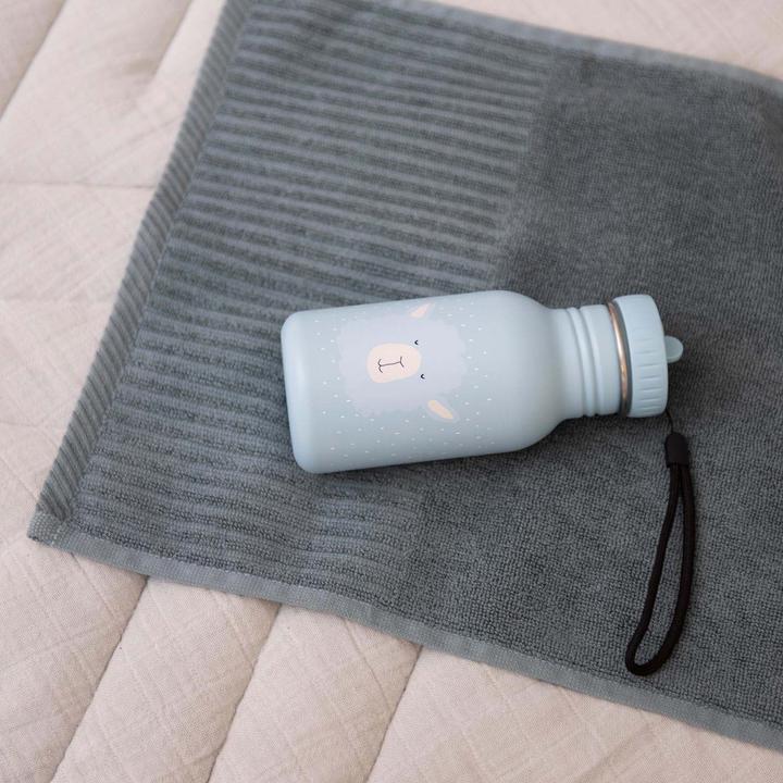 Actual product image Trixie Bottle (0.35 l)