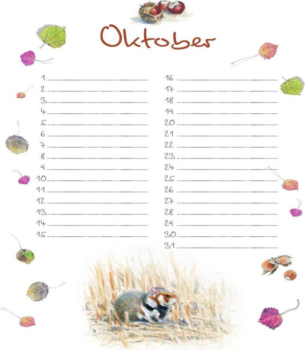 Produktbild Geburtstagskalender (Harter Einband, Deutsch)