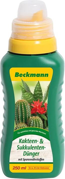 Produktbild Beckmann Kakteen- & Sukkulentendünger (0.25 l)