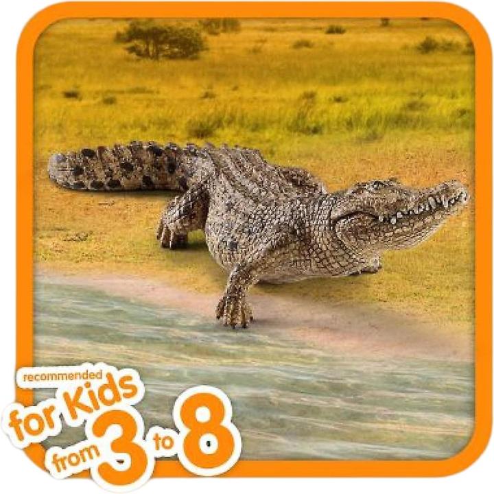 Actual product image Schleich Crocodile