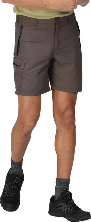Actual product image Regatta Leesville Ii Shorts Hiking (56)