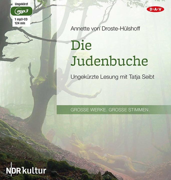 Immagine prodotto Il libro ebraico (Annette von Droste-Hülshoff, Tatja Seibt, Tedesco)