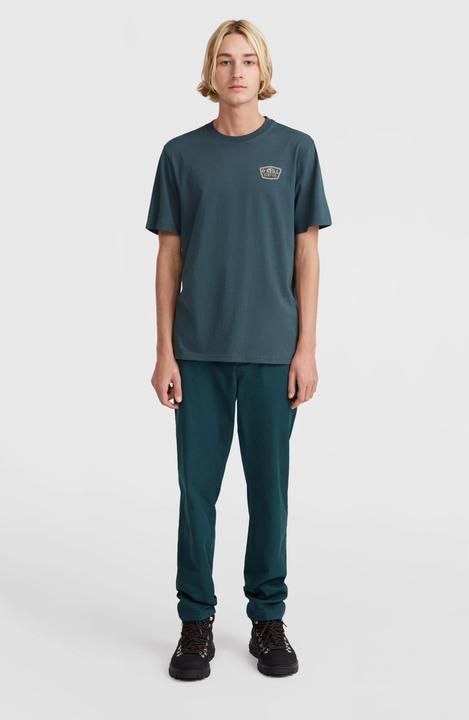 Actual product image O'Neill t-shirt o'nei sma chest print (L)