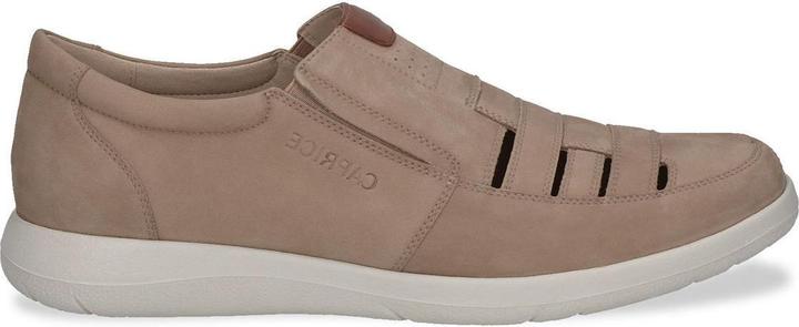 Pettine di taupe