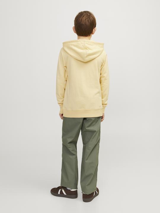 Image du produit Jack & Jones Jorcobin Sweat Hood Jnr (164)
