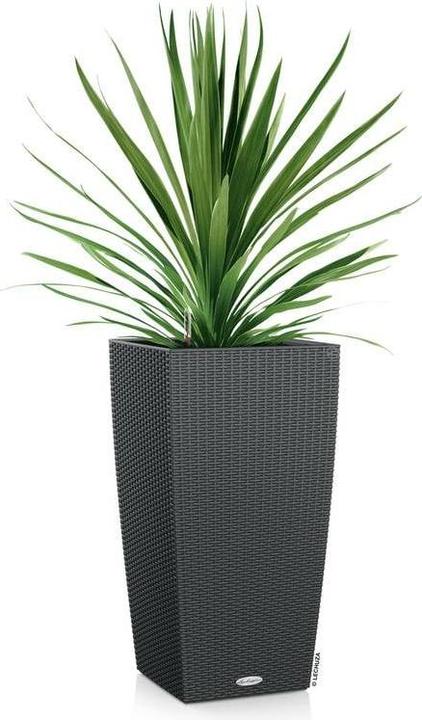 Produktbild Lechuza Cubico Cottage (29.50 cm)
