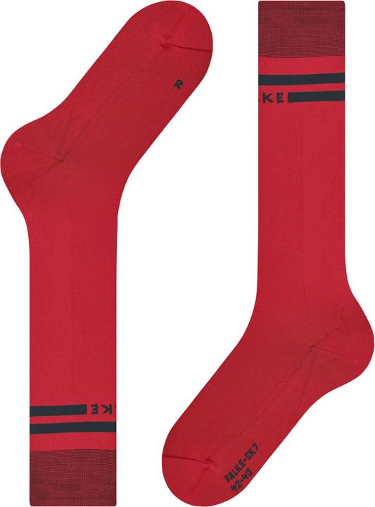 Immagine prodotto Falke Gara SK7 (46 - 48)