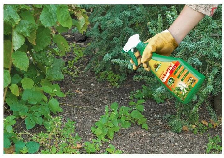 Immagine prodotto Neudorff Finalsan AF WeedFree Plus (Malerbe)