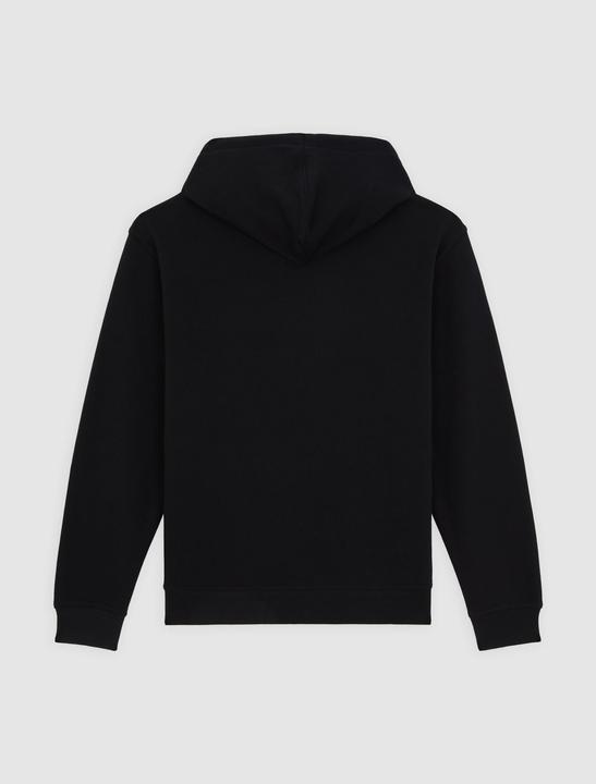 Image du produit Dickies Lewistown Hoodie Black (XS)