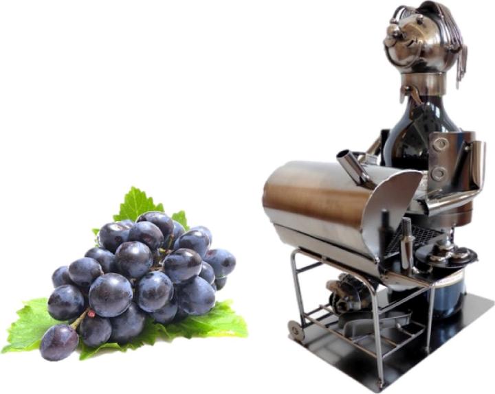 Actual product image IKO Metal barbecue bottle holder (Wine bottle holder)