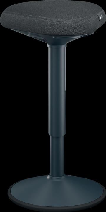 Actual product image Leitz Ergo Active