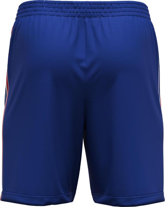 Produktbild Errea shorts offiziee heimstätte der france 2023/24 (L)