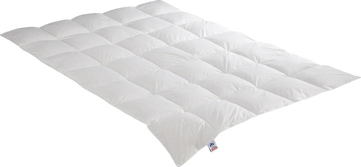 Produktbild Irisette Daunensteppbett Nora medium (530 g, 135 x 200 cm)