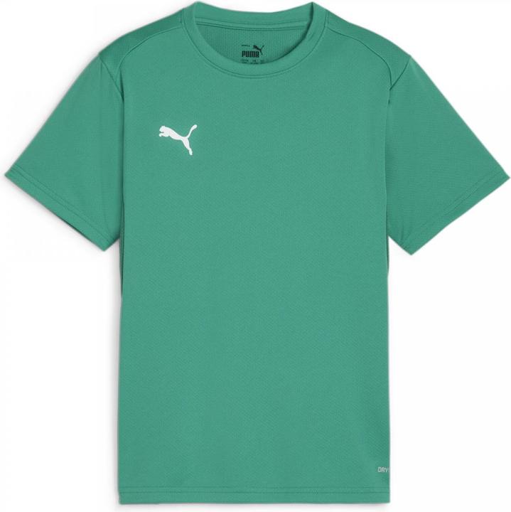 Actual product image Puma teamGOAL Jersey Jr (152)