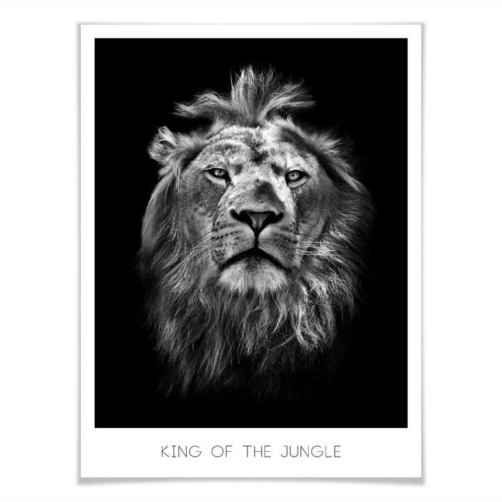 Produktbild Trenddeko Lion - King of the Jungle (100 x 120 cm)