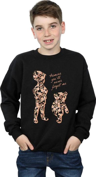 Image du produit Disney - Sweat WINNIE THE POOH PROMISE YOU'LL NEVER FORGET - Garçon (116)