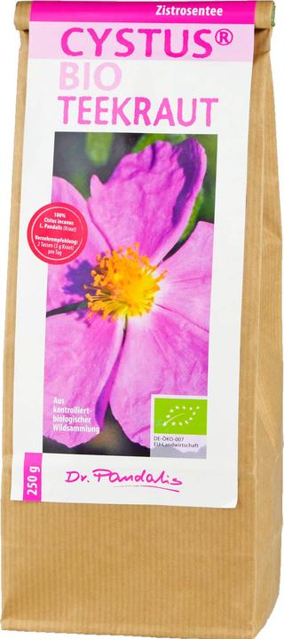 Actual product image Dr. Pandalis Cystus Organic Tea Herb Cistus Tea, 250 g Tea (250 g)