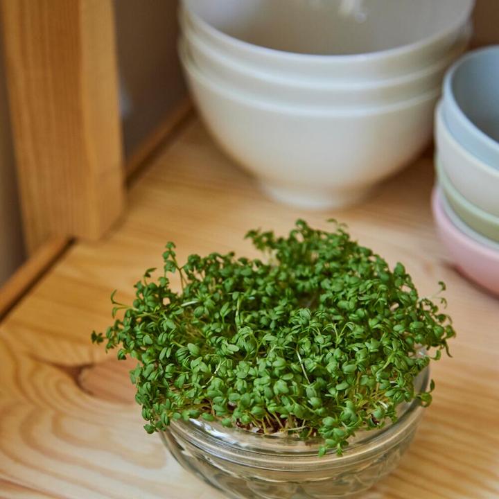 Produktbild Siena Garden Sprossenglas