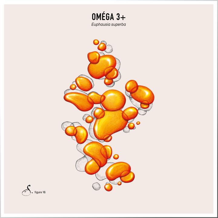 Produktbild Sekoya Omega 3+ | DHA & EPA (90 Stück, Kapseln)