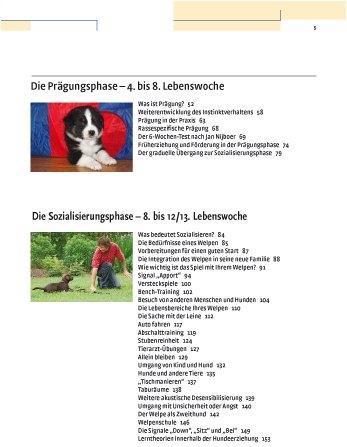 Produktbild Kosmos Vom Welpen zum Familienhund mit Natural Dogmanship (Deutsch, JAN, Nijboer, 2015)