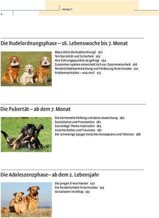 Produktbild Kosmos Vom Welpen zum Familienhund mit Natural Dogmanship (Deutsch, JAN, Nijboer, 2015)
