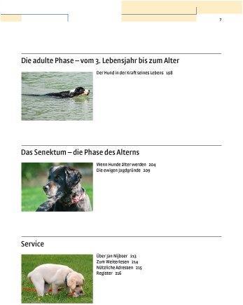 Produktbild Kosmos Vom Welpen zum Familienhund mit Natural Dogmanship (Deutsch, JAN, Nijboer, 2015)