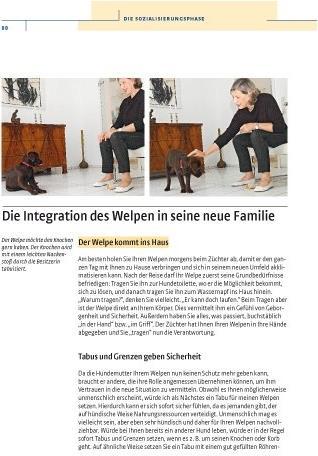 Produktbild Kosmos Vom Welpen zum Familienhund mit Natural Dogmanship (Deutsch, JAN, Nijboer, 2015)