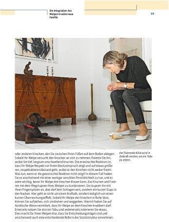 Produktbild Kosmos Vom Welpen zum Familienhund mit Natural Dogmanship (Deutsch, JAN, Nijboer, 2015)