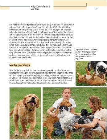 Produktbild Kosmos Vom Welpen zum Familienhund mit Natural Dogmanship (Deutsch, JAN, Nijboer, 2015)
