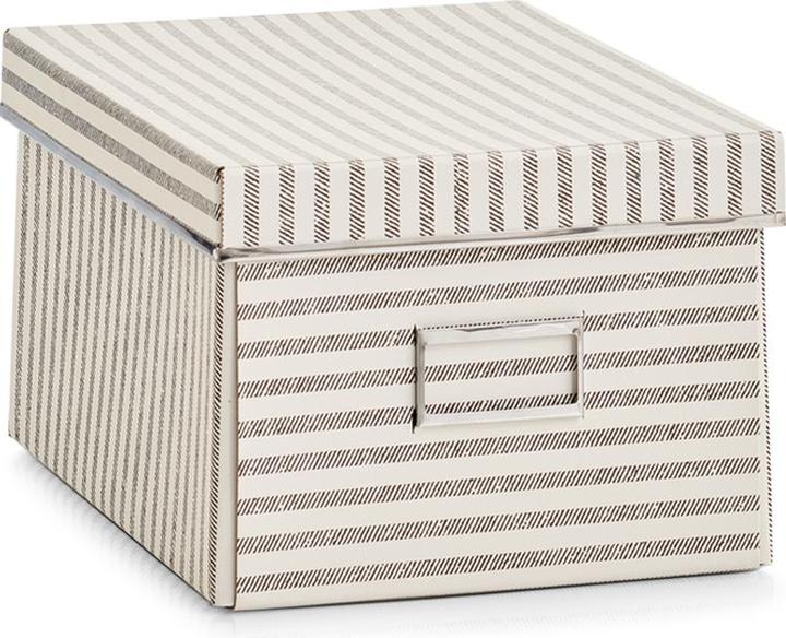 Immagine prodotto Zeller Present Strisce (21 x 28 x 15 cm, 8.82 l)
