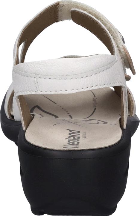 Actual product image Westland 25901-272 (39)