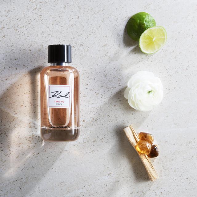 Immagine prodotto Karl Lagerfeld Eau de Parfum (Eau de parfum, 100 ml)