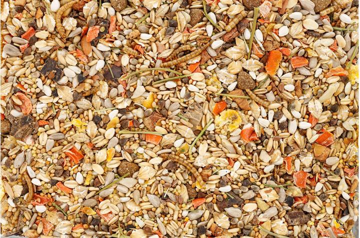 Produktbild Schweizer Hauptfutter Mini-Mix für Rennmäuse, Hamster & Ratten, 950 g (0.97 kg, 1 x)