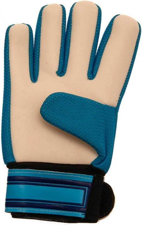 Immagine prodotto Tottenham Hotspur FC Guanti da Portiere Cresta Bambini (10, 11, 12, 13)