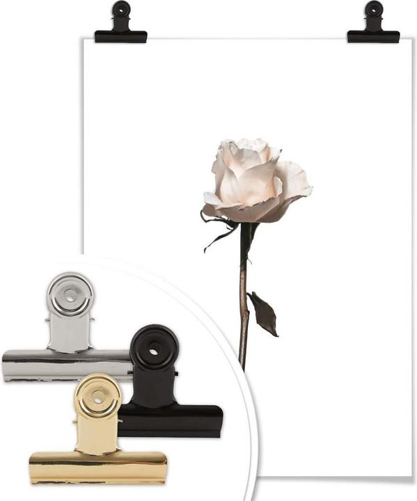 Produktbild Trenddeko Die weisse Rose (60 x 80 cm)