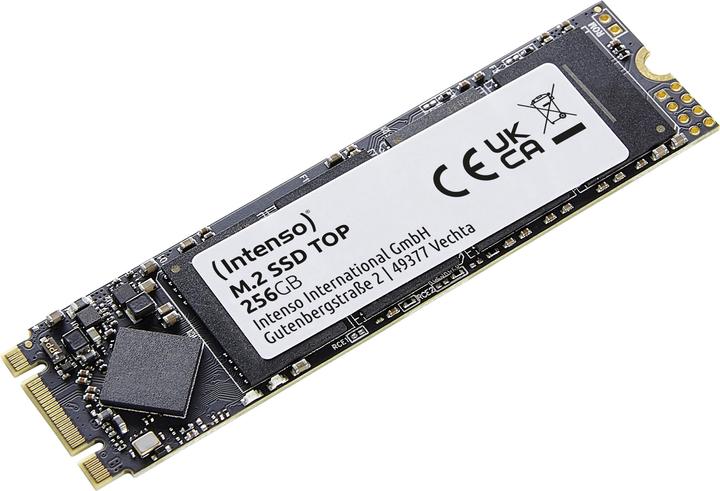 Intenso top performance (256 GB, M.2 2280)