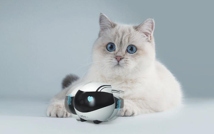 Actual product image Enabot EBO Air (1920 x 1080 Pixels)
