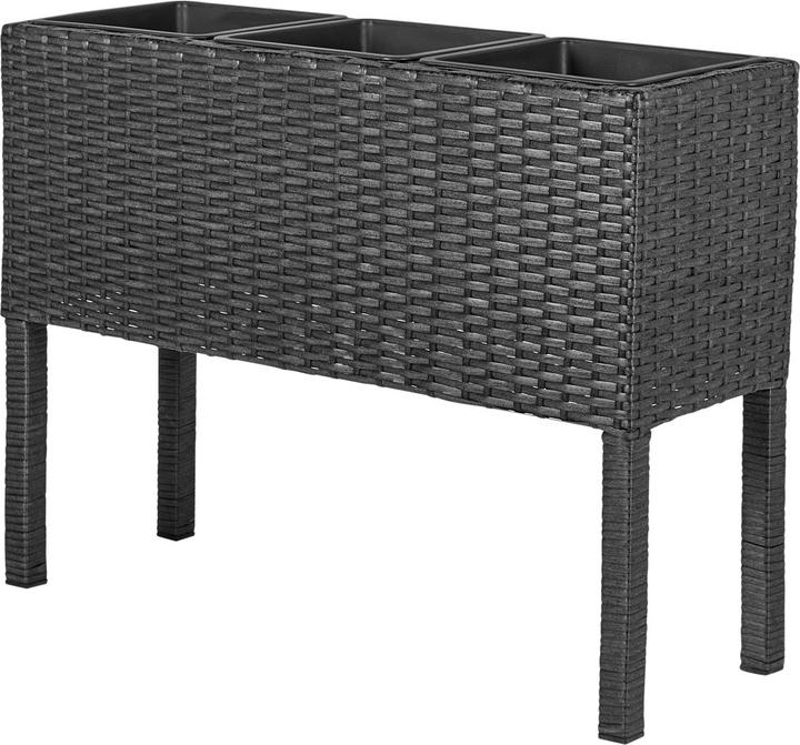 Beliani Caragana (77 cm)