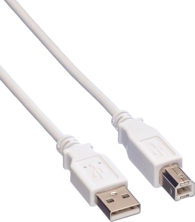 Value USB 2.0 (4.50 m, USB 2.0)