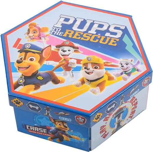 Produktbild Paw Patrol Faltbares Farbetui