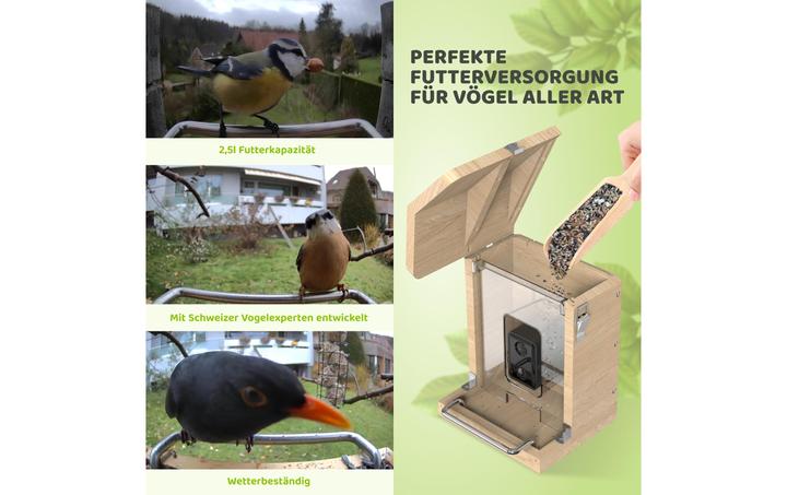 Actual product image Sanilu Clean Sanilu Vogelfutterhaus mit Kamera ohne Solarpanel, Grundfarbe