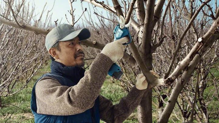 Produktbild Bosch Professional Pro Pruner