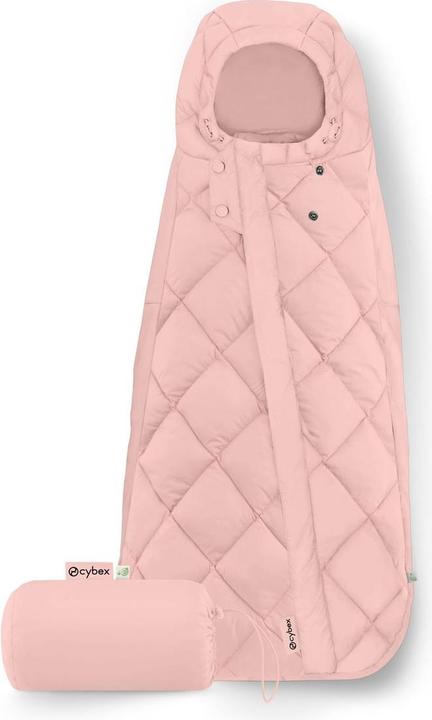 Rose bonbon Rose clair