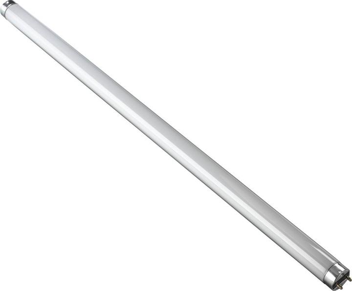 Xavax Fluorescent tube T8, G13, 36W, 120 cm, neutral white (36 W, F)